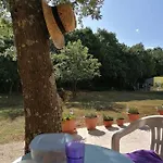Tiny House Dora 펜션 Marčana