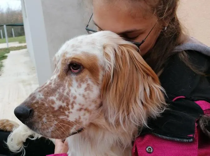 펜션 Tiny House Dora