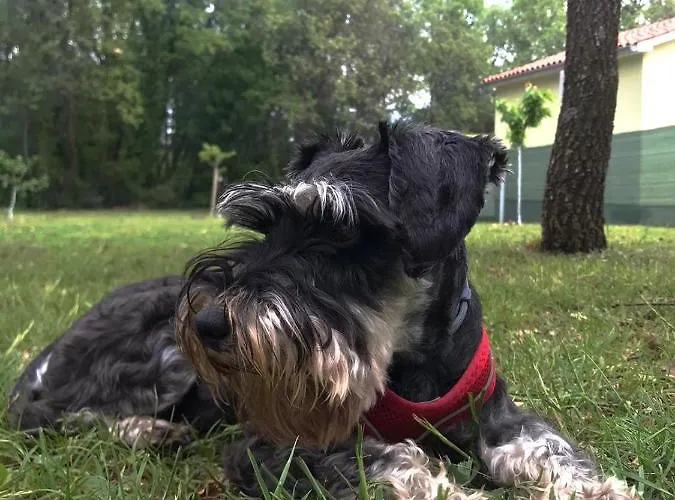 Tiny House Dora * Marčana