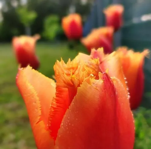 펜션 Tiny House Dora Marčana