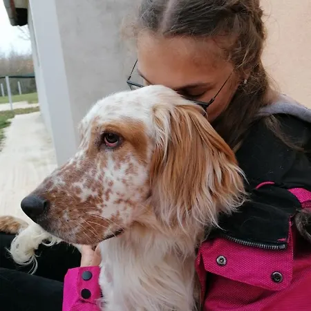 別荘 Tiny House Dora