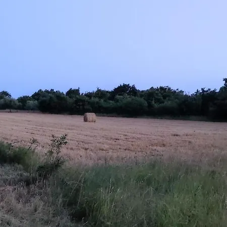 別荘 Tiny House Dora