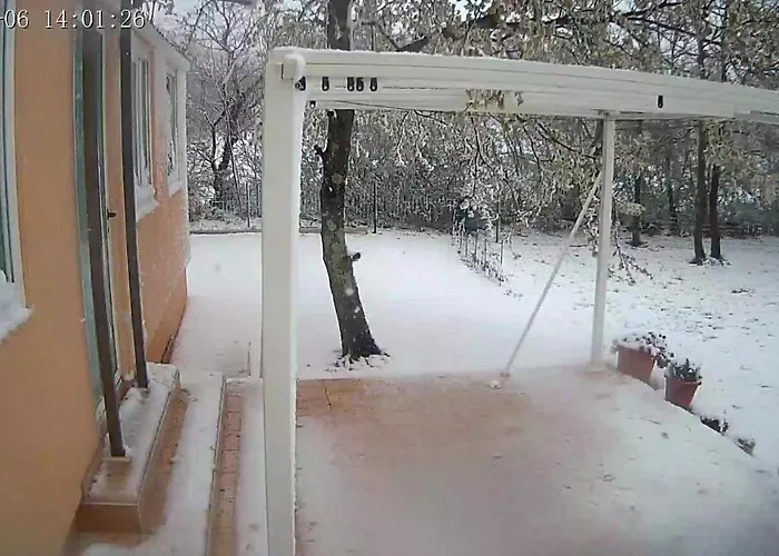 Holiday home Tiny House Dora *