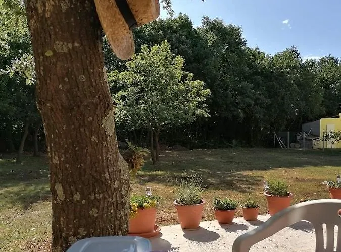 Tiny House Dora Vikendica Marcana