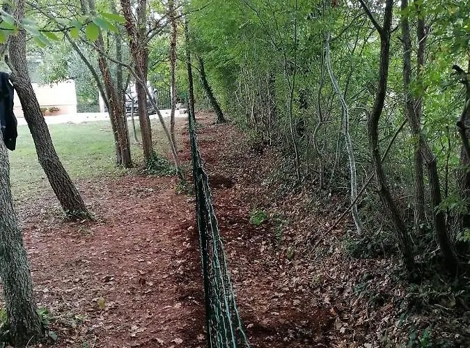 Tiny House Dora Marcana