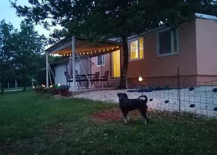 Tiny House Dora Holiday home *