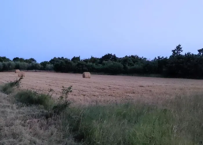 Holiday home Tiny House Dora